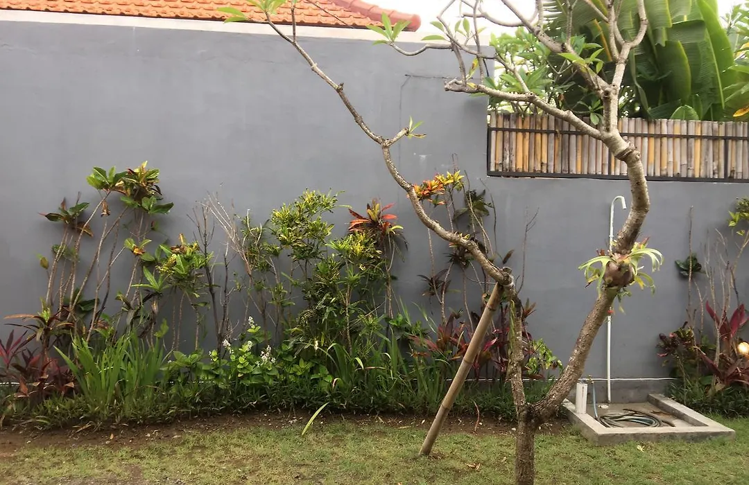 Mesari Guest House-1